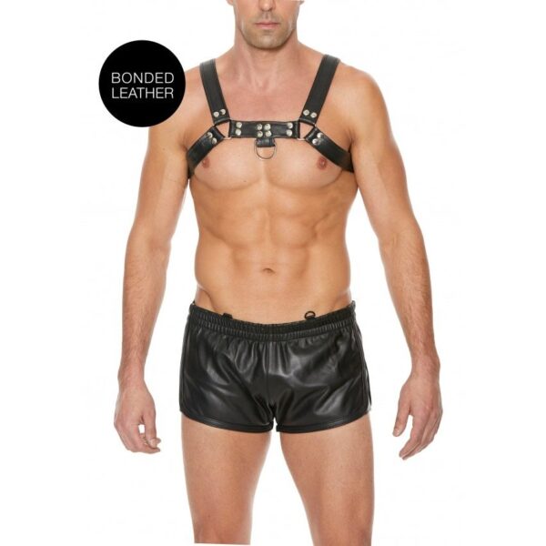 Harness Chest Bulldog - SM - Black