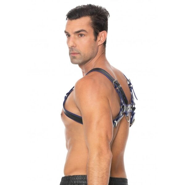 Harness Chest Bulldog - SM - Blue