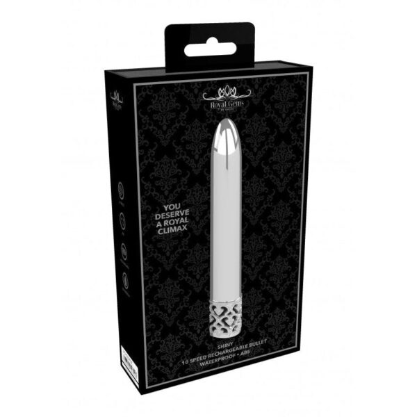 Shiny - Rechargeable ABS Bullet - Silver