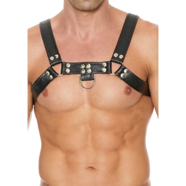 Harness Chest Bulldog - Black/Black - S/M