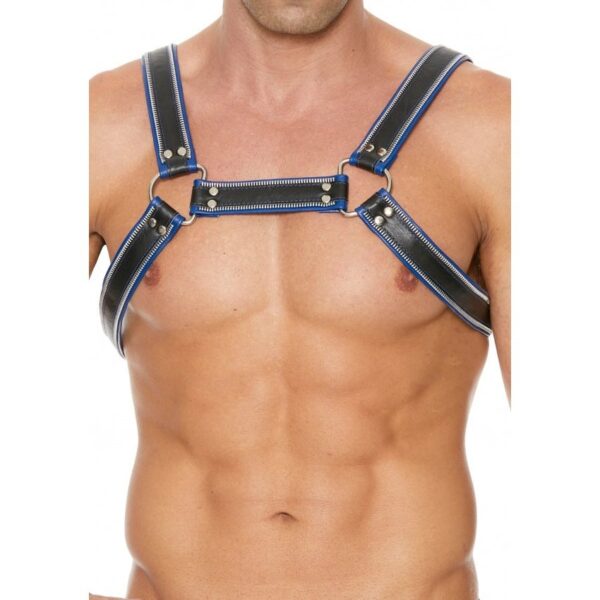 Harness Z Series Chest Bulldog - Black/Blue - S/M