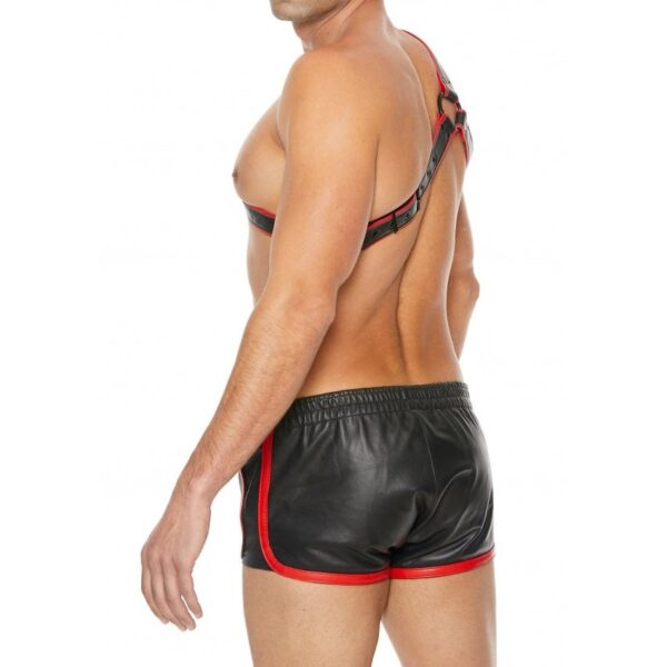 Harness Gladiator Leather - Black/Red