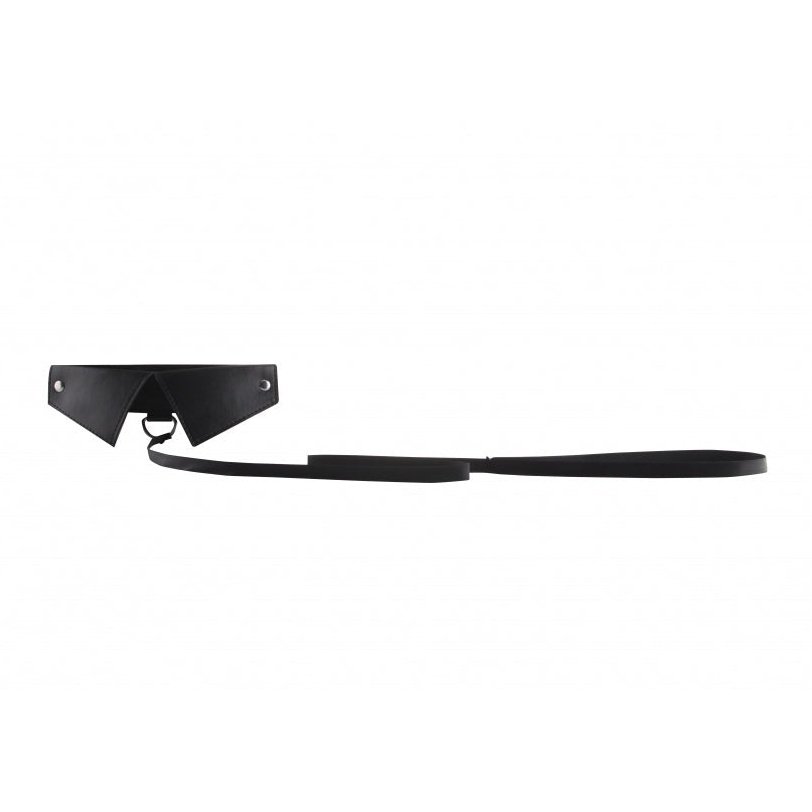 Collar with Leash - Black